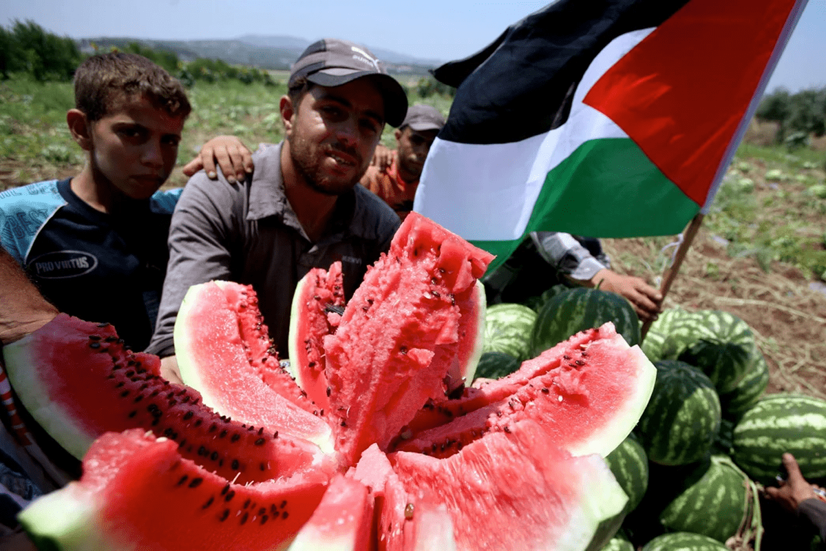 Why the Watermelon Represents Palestinian Identity – KUVRD