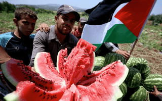 Why the Watermelon Represents Palestinian Identity - KUVRD