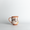 Damascus Gate Mug